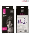 4'lü Anal Set