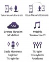 Lovense HUSH App Controlled Anal Plug 1.75"