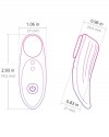 Ferri App Controlled