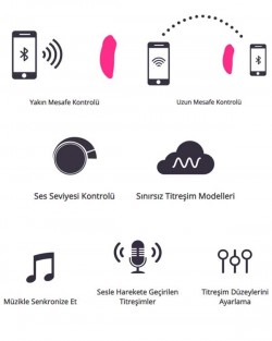Ferri App Controlled