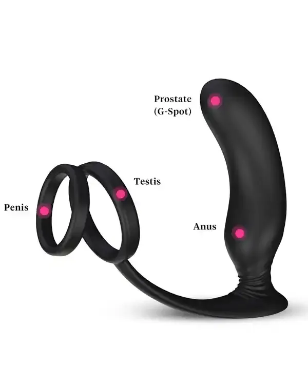 NOXXX Halo Penis Halkalı Prostat ve Şarjlı Anal Masaj Vibratörü