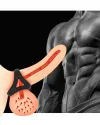 NOXXX Penis ve Testis Halkası