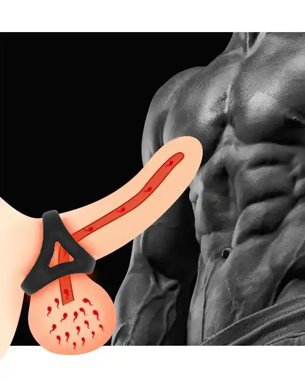 NOXXX Penis ve Testis Halkası