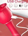 Erojen Bölge Etkili Çift Taraflı Şarjlı Vibratör