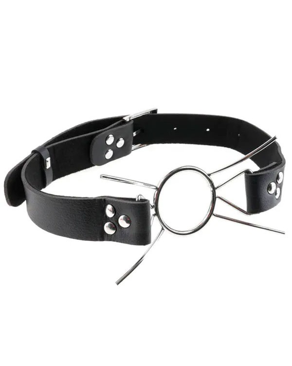 NOXXX Extreme Spider Gag